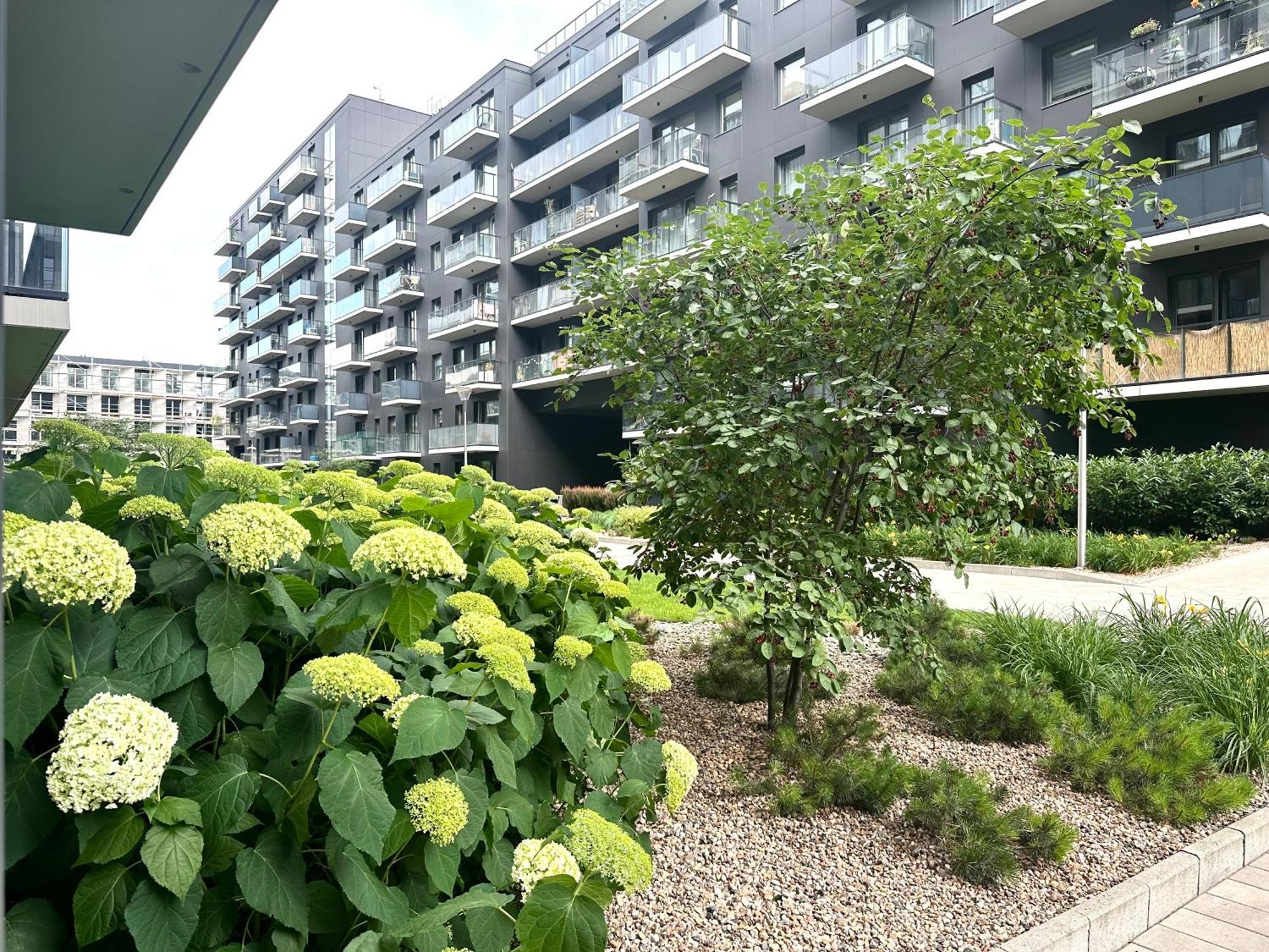 Mieszczanska 25 Apartment - Self Check-In 20H - Parking & Lift فروتسواف المظهر الخارجي الصورة